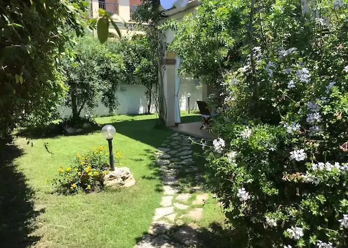 Junco Вилласимиус