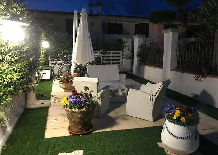 Junco * Вилласимиус