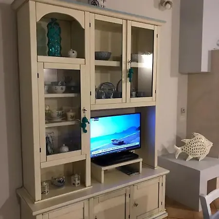 Junco 빌라시미우스