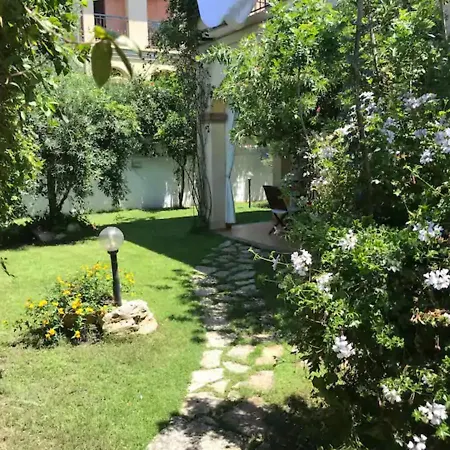 Junco 빌라시미우스