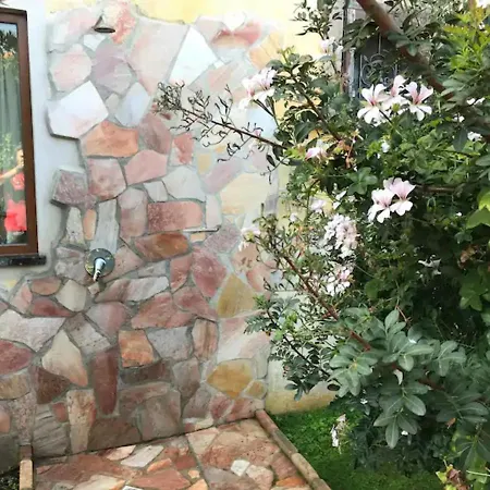 Junco Villa *