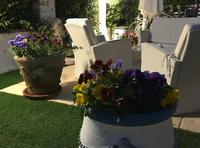 Junco Willa Villasimius